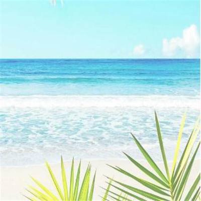 烈焰一刀流果盘公益服版下载